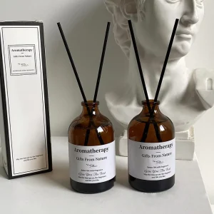 100ml 3.3oz Luxury Glass Bottle Reed Stick Diffuser Home Fragrance Aroma Fragrance Oils Reed Diffuser with Stopper