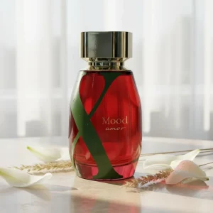 100ml Dubai Arabic Luxury Perfume for Women Long Lasting Perfume