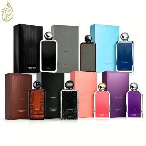 100ml Sample Size All Day Long Lasting Eco Friendly Spray Luxury Matching Gift Box Middle East Fragrance for Men