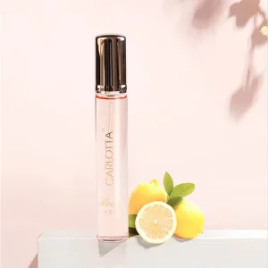 24pcs ETD Long lasting Travel Spray Perfume for Women 24 Different Scents