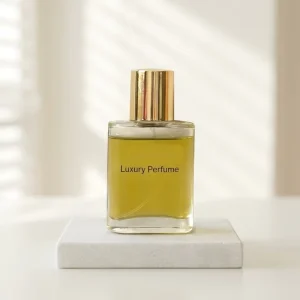 30ml 50ml 100 Luxury Glass Perfume Bottle with Cap Spray Pump Custom Packaging Available