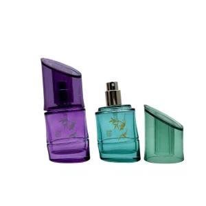 30ml Empty Perfume Glass Bottle with Spray Pump