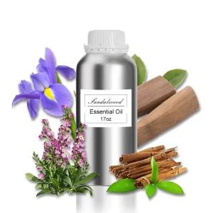 500ML Long Lasting Fragrant Essential Oil Aromatherapy Machine Perfume Pure Essential Oil
