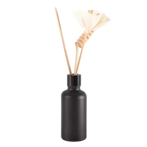 50ml Matte Black Empty Glass Reed Diffuser Bottle with Sticks Aromatherapy Bottle Fir Home Decoration
