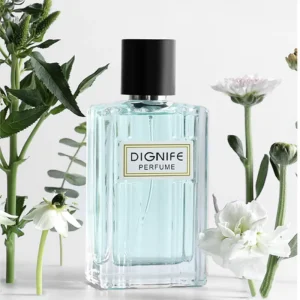 American Inventory Brand Luxury Arab Original Perfume Dubai Arab Lasting Fragrance Men’s Original Perfume Body Spray Cologne