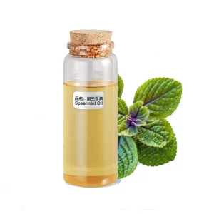 Aroma Fragrance Essential Oil Pure Perfume Oil 1kg Natural Spearmint Oil