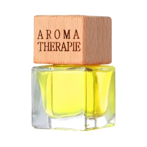Car Perfume Pendant Long Lasting Light Fragrance for Men and Women Modern Style Car Decoration Aromatherapy