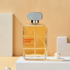Classic Men’s Perfume 100 ml Private Label Custom Wood Perfume Body Spray Eau De Toilette