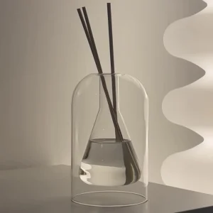 Creative High Borosilicate Glass Double Wall Tabletop Diffuser Bottle Flower Vase Multi Purpose Essential Oil Plant Hydroponics