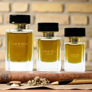 Custom Design Long Lasting Spray Perfume Manufactured with Lasting Fragrance