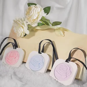 Custom Hanging Solid Gypsum Tablet Aromatherapy Wardrobe Private Label Perfume Diffuser Car Deodorant Air Freshener