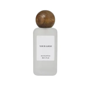 Custom Logo Luxury Perfume Private Label Gift Eau De Parfum Long Lasting Body Spray Perfume for Women and Men