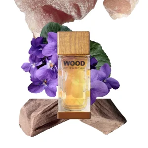 Custom Long Lasting Woody Cologne Men’s Perfume 100ml Glass Bottle Spray