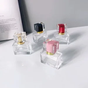 Custom Made Perfume Atomizer Customized Logo And Labels Mini Refillable Perfume Bottle 30ml 50ml Spray Bottle Glass For Cosmetic