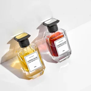 Custom Perfume Square Cap Lid 100ml Empty Perfume Bottle Fragrance Glass Bottle with Packaging Box