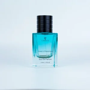 Customizable High End Exquisite Coated Blue Glass Perfume Bottle with Pump Sprayer Reed Diffuser Men’s Perfume 50ml