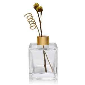 DIY Home Fragrance Aromatherapy Reed Diffuser Bottle Empty Glass Essential Oil Diffuser with Perfumed Reed Aromatherapy