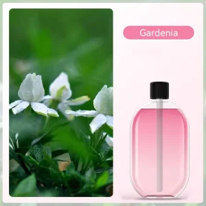 Essential Oil Aroma Perfume Aromatherapy for Home Hotel Office Bedroom Diffuser