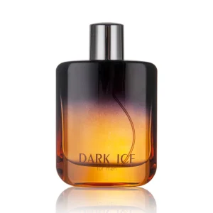 Factory 100ML Dark Ice Private Label Custom Logo Men Perfume Fragrance