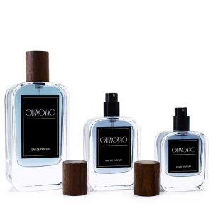 Factory Direct Sales of Men’s Perfume Glass Bottle 100ml Clear Bottle Body Perfume Glass 50ml 30ml with Wooden Cap