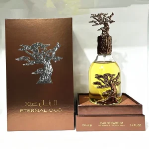 High Quality 100ml Men’s Luxury Woody Scent Eco Friendly Perfume with Long Lasting Fragrance Arabic Parfum