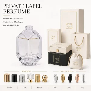 High Quality EDP Perfume Custom Logo Private Label Perfume OEM ODM Long Lasting Fragrance Spray for Men Women Long Cap