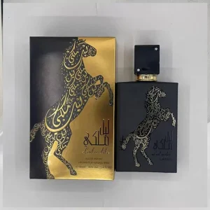 High Quality Middle East Arabia Men’s Eau De Parfum Long Lasting Woody Scent 100ML Spray Perfume