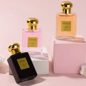 Hot Selling Ladies’ Persistent Fragrance Fresh and Natural Eau De Toilette High Fashion Appearance Perfume