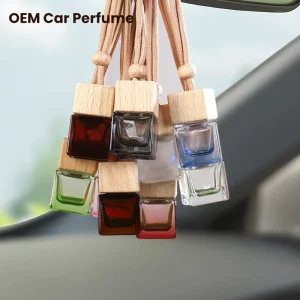 Latest Car Perfumes Luxury Car Perfume Vent Hot Product Liquid Perfume Car Air Freshener Oem Parfum