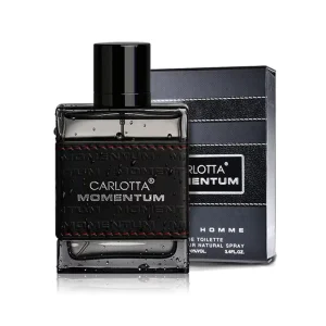 Leather Packing OEM OBM 100ml Long Lasting Fragrance French Perfume for Men