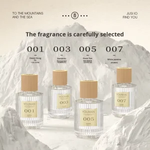 Long-Lasting Fire-Free Liquid Aromatherapy Perfume | Home & Car Air Freshener | Light Floral Scent for Bedroom & Indoor Spaces