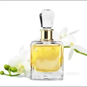 Long Lasting Popular Luxury Concentrated Perfume Fragrance Oil Famous Brand for Perfume