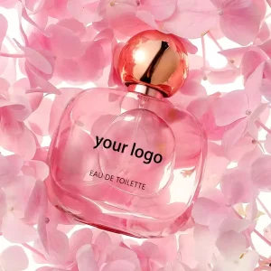 Luxury High Quality Pheromone Perfume for Men Attract Women French Long Lasting Perfume for Women