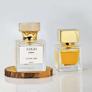 Luxury Perfume Fragrance Oil High Quality Perfumes Women’s Perfume Eau De Parfum