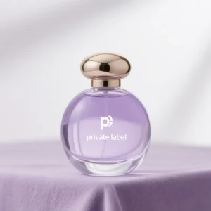 Manufacturer Private Label OEM Custom Oil Fragrance Regular Size Floral Scent MIST Spray Women’s Perfume