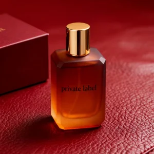 Men’s Eau De Parfum Cologne Woody Scent Long Lasting Spray Custom Logo Packaging