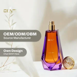 Men’s Perfume 50ml Oem Perfume for Men Eau De Parfum Long Lasting Fragrance Oem Odm Perfume Manufacturer Custom Scent