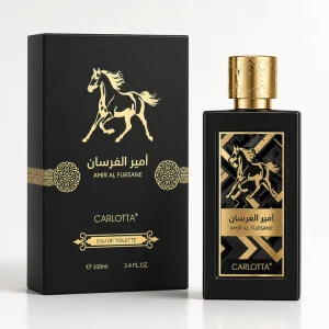 New Design Nice Eau De Toilette Fruity Woody Oriental 100ml Arabian Perfume Fine Fragrance Mist for Men for Casual Outings