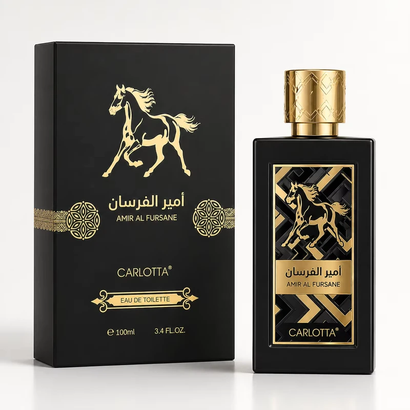 New Design Nice Eau De Toilette Fruity Woody Oriental 100ml Arabian Perfume Fine Fragrance Mist for Men for Casual Outings