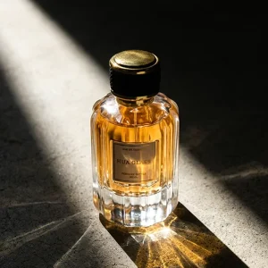 New Design Transparent Fluted Cylinder Custom 30ml 50ml 100ml Empty Perfume Bottle Luxury Black Gold Cap Glass Spraying Bottle