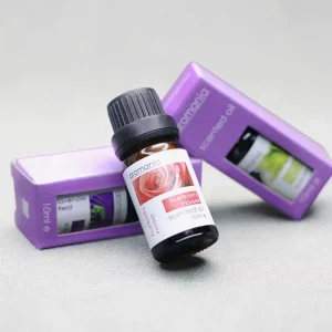 OEM 10ml Premium Scented Water-soluble Essential Fragrance Oil for Humidifier Aroma Diffuser Crystal Stone Luxury Car Perfume