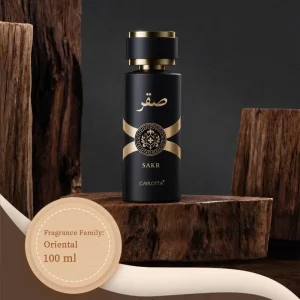 OEM Customizable High Quality Eco Friendly Natural Fragrance Long Lasting Arab Style Male Spray Perfume