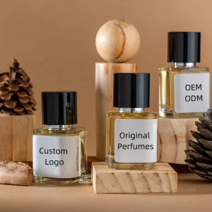 OEM ODM Factory Manufacturer Private Label Men Women Bottle Customizable Scent Fragrance Parfum Perfume Custom logo