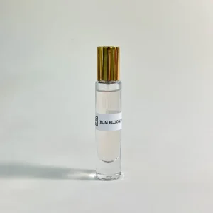 OEM ODM Glass Atomizer Spray Continuous Mist Pump for Perfume with Pump Sprayer Sealing Type