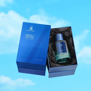 OEM Perfume Selling Perfume for Women Men Gift Set Perfume Eau De Parfum (EDP) Alcohol Free Fragrance