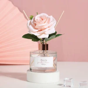 Perfume Aromatherapy Glass Bottle Reed Stick Diffuser Home Fragrance Gift Box Fragrance Oils Reed Diffuser