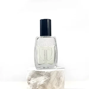Pocket Size Travel Perfume Empty Bottle 20ml Cosmetic Packaging Body Oil Bottle Refillable Car Perfume Bottle