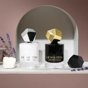 Private Label Custom Elegant Long Lasting Fragrance Perfume for Women Daily Wear Luxury Scent