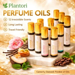 Private Label Natural Organic Blend Cherry Vanilla Musk Perfume Body Massage Roll on 10ml Roller Essential Oil for Skin