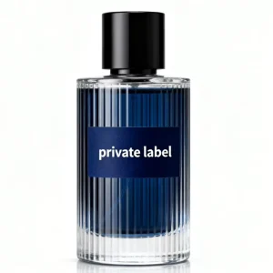 Private Label Perfume Cologne Eau De Parfum Fresh Scent Long Lasting OEM Spray for Men Women Low MOQ Pheromone